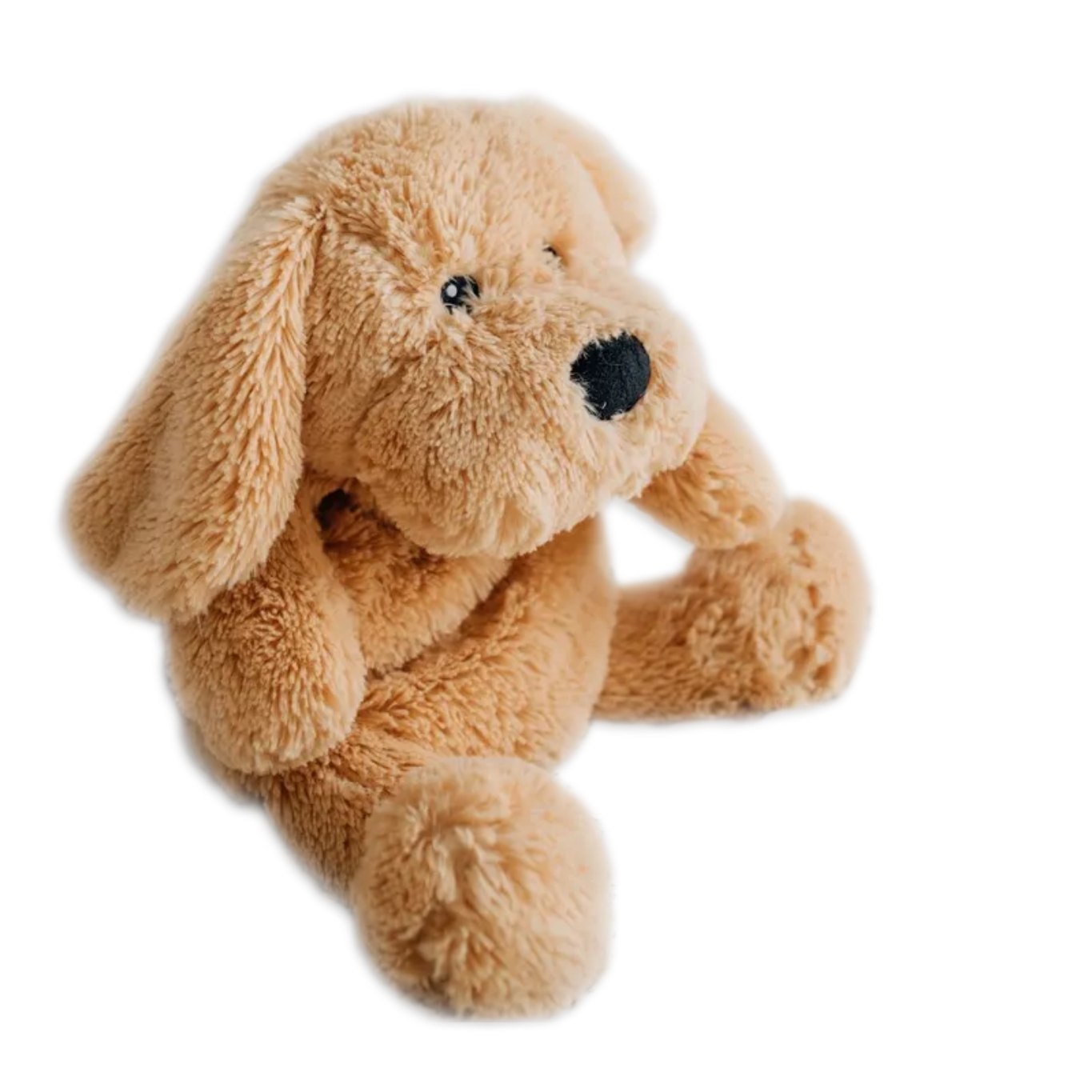 Charlie The Weighted Puppy Dog