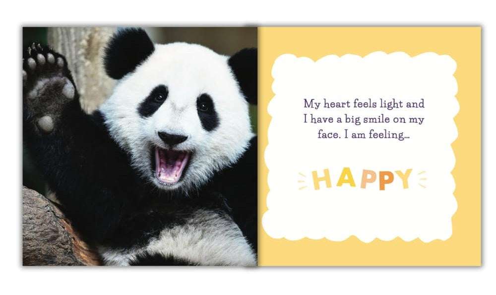 Feelings and Me Book